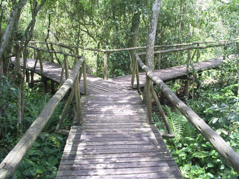 Parque Ecológico de Maracajá (Foto: Itaionara Recco)