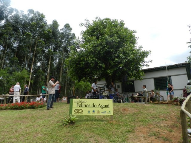 Fotos: Arquivo/Centro de Educação Ambiental Felinos do Aguaí