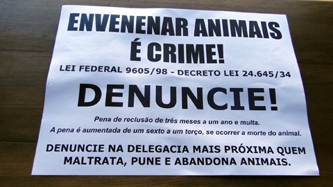 Foto: Divulgação/Notisul