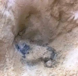 Corpo em decomposição é encontrado em dunas de Balneário Rincão