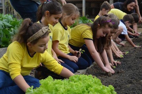 Projeto Barão Sustentável leva aula prática para a horta da escola2