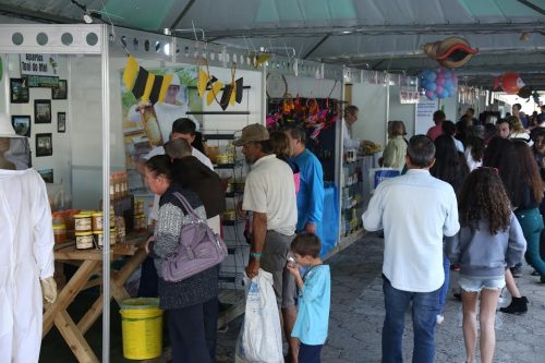 26ª Festa do Peixe Feira, Exposições e Gastronomia farta em Balneário Arroio do Silva