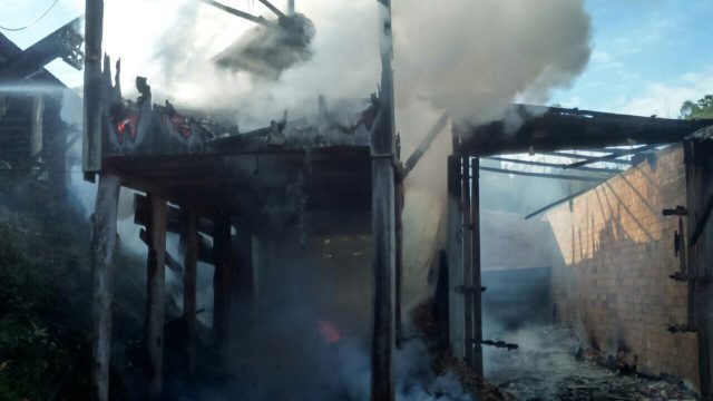 Incêndio atinge estufa de madeireira em Orleans
