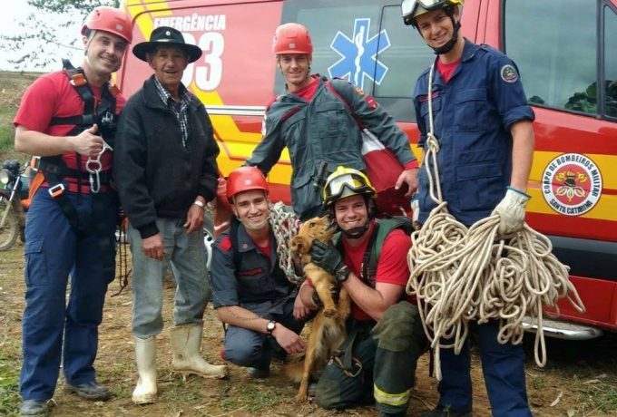 Cadela é resgatada quatro dias após cair de penhasco de 25 metros em Ituporanga
