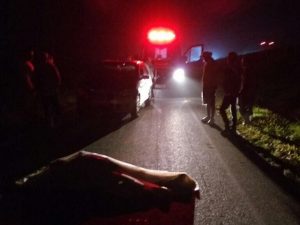 Homem morre atropelado na BR-101, em Laguna